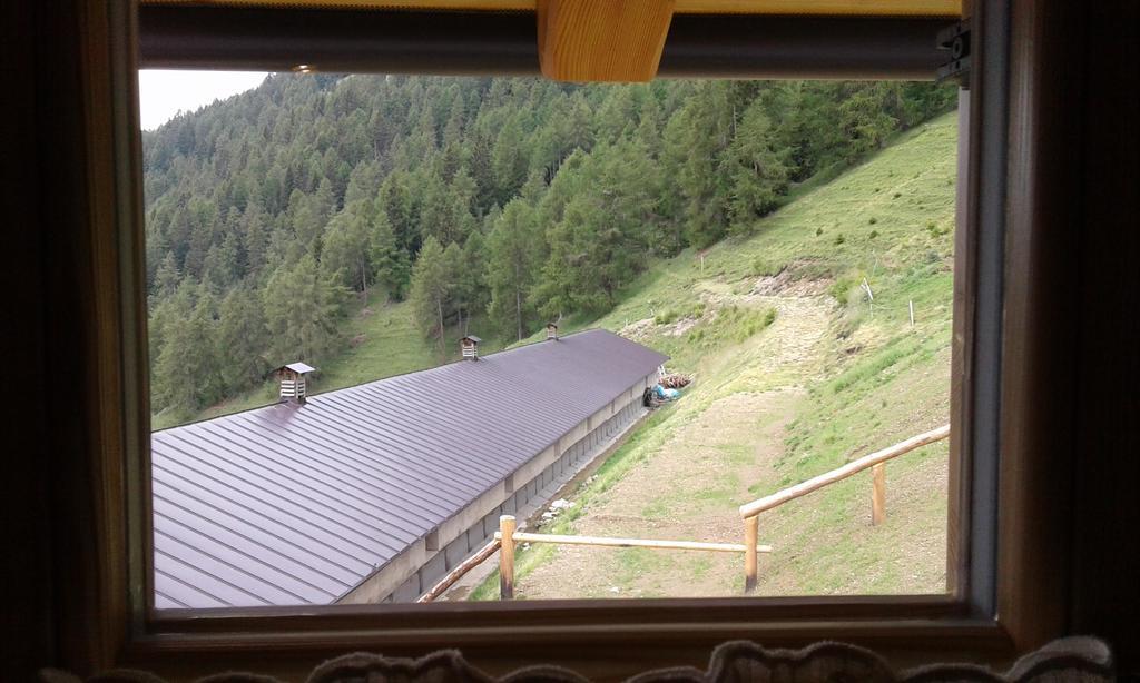 Restor Natura Malga Mondent Hotel Pracorno di Rabbi ภายนอก รูปภาพ
